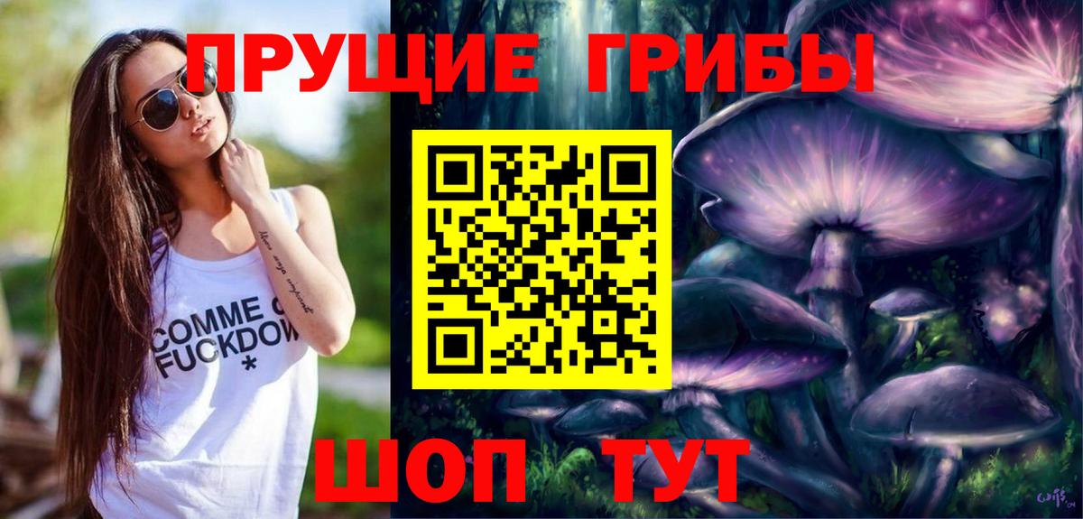 Псилоцибиновые грибы GOLDEN TEACHER Калач-на-Дону